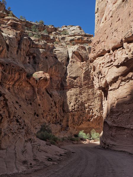 Capitol Gorge